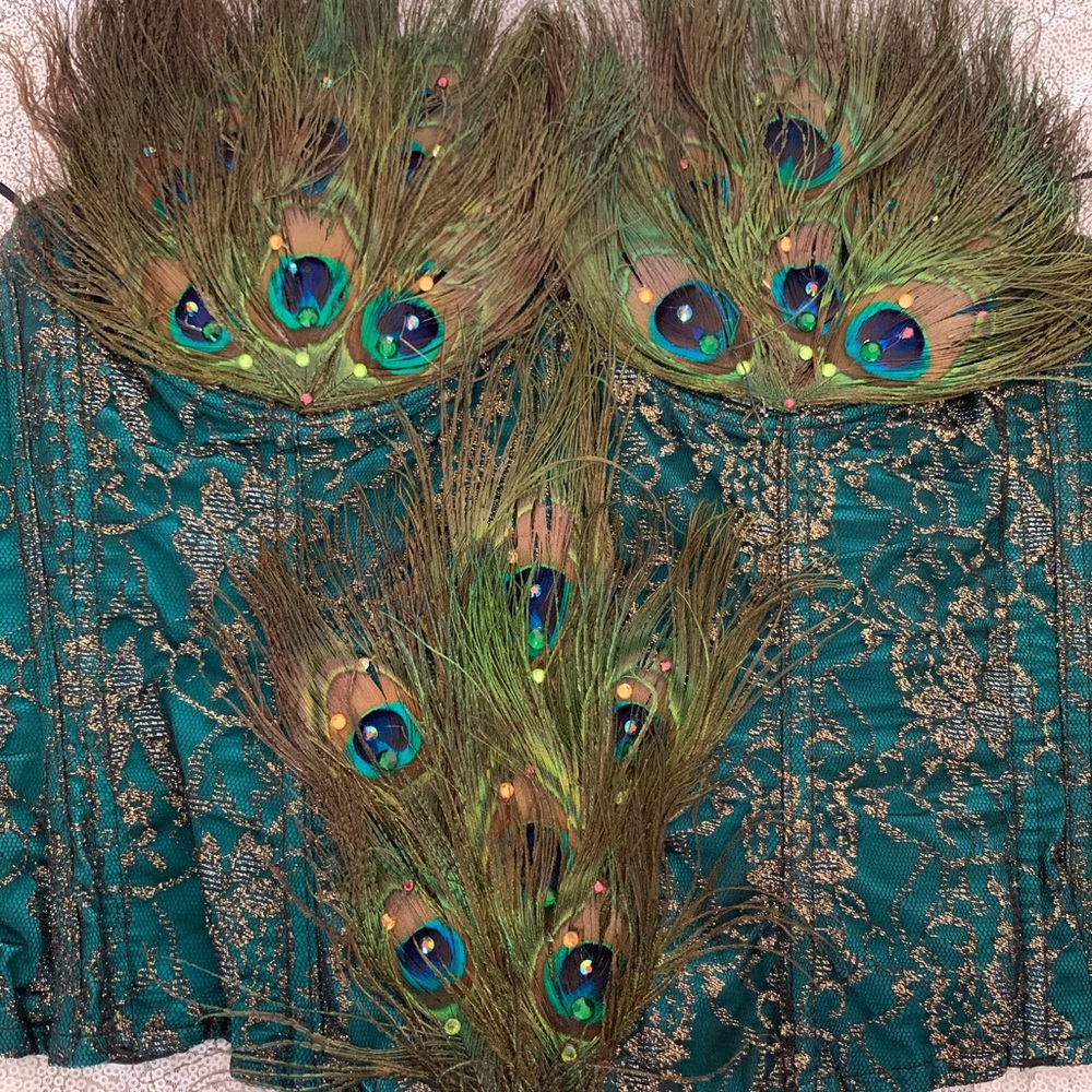 Peacock Corset, tail & choker for peacock costume.